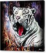 Tiger White Canvas Print