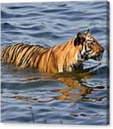 Tigress Of The Lake Canvas Print