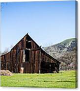 Tilted Old Barn In Meadow Canvas Print
