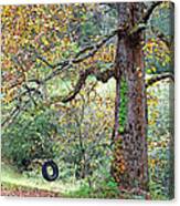 Tire Swing And Poplar Tree Canvas Print
