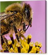 To Bee Canvas Print