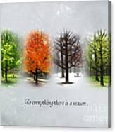 To Everything There Is A Season Canvas Print