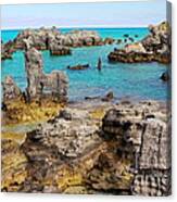 Tobacco Beach In Bermuda Canvas Print