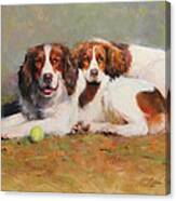 Toby And Ellie Mae Canvas Print