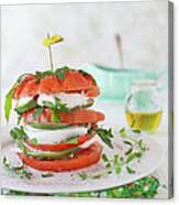 Tomato Salad Canvas Print