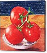 Tomatoes Canvas Print