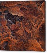 Topography Of Rust Canvas Print