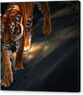 Torch Tiger 2 Canvas Print