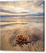 Torrey Pines Sunset Canvas Print
