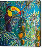 Toucan Tango For Mango Canvas Print