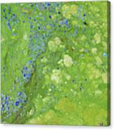 Toxic Cyanobacteria In Lake Okeechobee Canvas Print