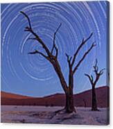 Trailing Stars Canvas Print