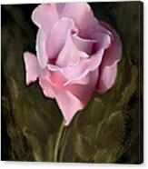 Tranquil Rose Canvas Print