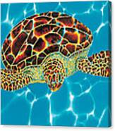 Caribbean Sea Turtle Canvas Print