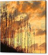 Treasure Island Sunset Canvas Print