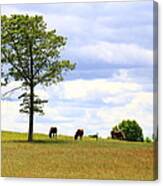 Tree And Horses Canvas Print