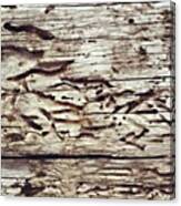 Tree At Sea #nicsquirrell #nature #wood Canvas Print