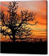 Tree At Sunset Canvas Print