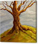 Tree At The Top Of The World Canvas Print