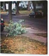 Tree Branch Missed Neighbors Vehicle Canvas Print
