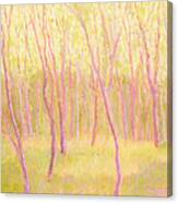Tree Dance Canvas Print