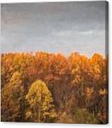 Tree Line In Autumn Canvas Print