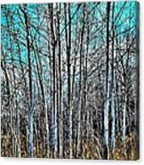 Tree Montage - Canada Canvas Print