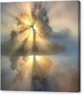 Tree Of Light Canvas Print