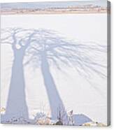 Tree Shadow Puppets Canvas Print