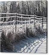 Trees And Fence Canvas Print