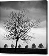 Trees Black And White Canvas Print