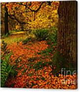 Trees In Autumn Woodland Canvas Print