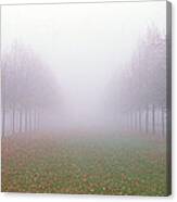 Trees In Fog Schleissheim Germany Canvas Print