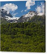 Trees In Mountain Landscape, Carousel Canvas Print