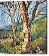 Trees In Spring Canvas Print