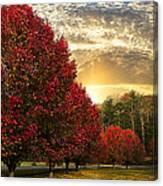 Trees On Fire Panorama Canvas Print
