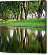 Trees Reflection On The Lake Canvas Print