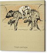 Trepidation, 1930, 1st Edition Canvas Print