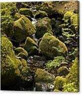 Tributary Canvas Print