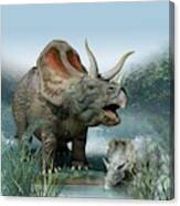 Triceratops Old And Young Canvas Print