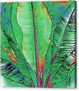 Tropical Foliage Canvas Print