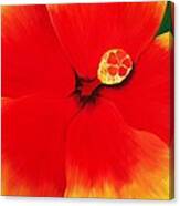 Tropical Hibiscus Painting Canvas Print