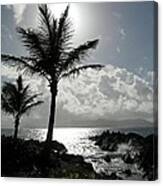 Tropical Mornings - Silhouettes 02 Canvas Print