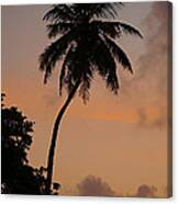 Tropical Sunrise Silhouette Canvas Print