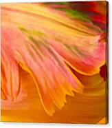 Tulip Abstract Canvas Print