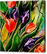 Tulip Explosion Canvas Print