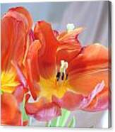 Tulip Profusion Canvas Print