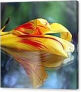 Tulip Reassembled 3 Canvas Print