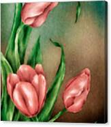 Tulip Trio Canvas Print