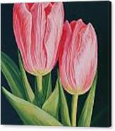 Tulips Canvas Print